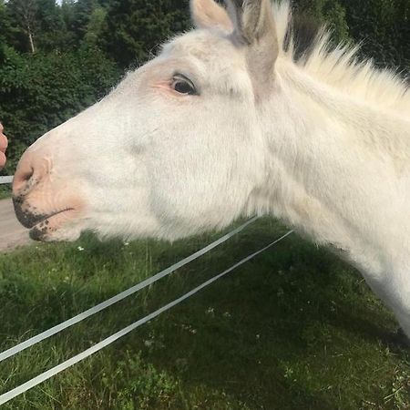 Stuga Asnagard Torsby Bagian luar foto